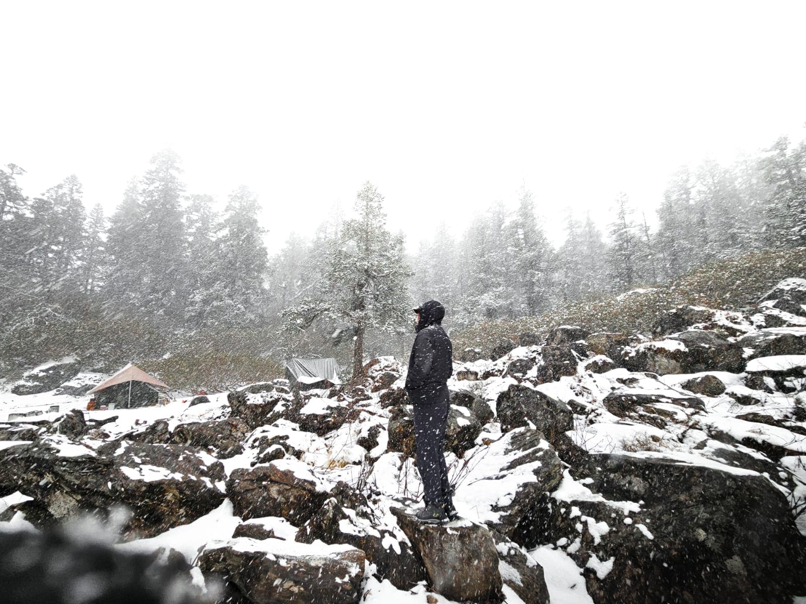 Trekker at altitude